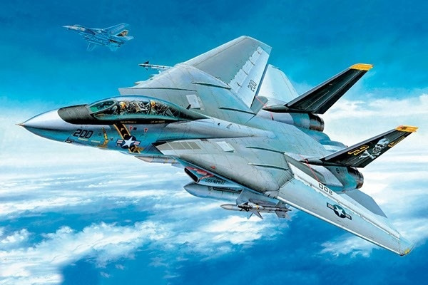 Tamiya 1/48 Grumman F-14A Tomcat in the group Sport, leisure & Hobby / Hobby / Plastic models / Airplanes/Helicopters at TP E-commerce Nordic AB (A06618)