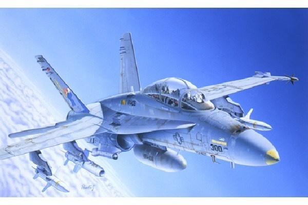 Italeri 1:72 F/A-18C/D WILD WEASEL in the group Sport, leisure & Hobby / Hobby / Plastic models / Airplanes/Helicopters at TP E-commerce Nordic AB (A07037)