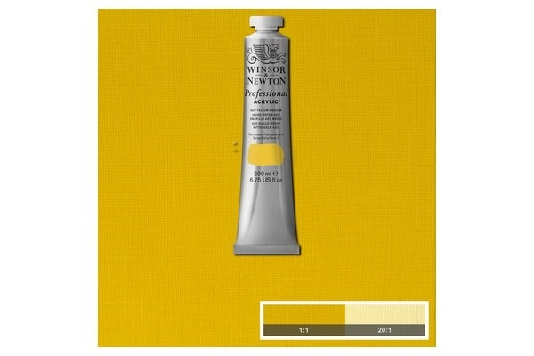 Prof Acrylic 200ML AZO YELLOW MEDIUM 019 in the group Sport, leisure & Hobby / Hobby / Paint & Draw / Artist Colors / Acrylic at TP E-commerce Nordic AB (A08944)