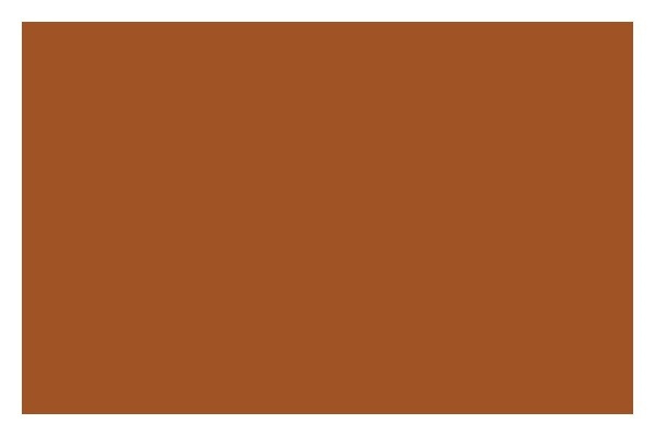 Liquitex Sprayfärg 400ml Raw Sienna 0330 in the group Sport, leisure & Hobby / Hobby / Paint & Draw / Artist Colors / Spraypaint at TP E-commerce Nordic AB (A09430)