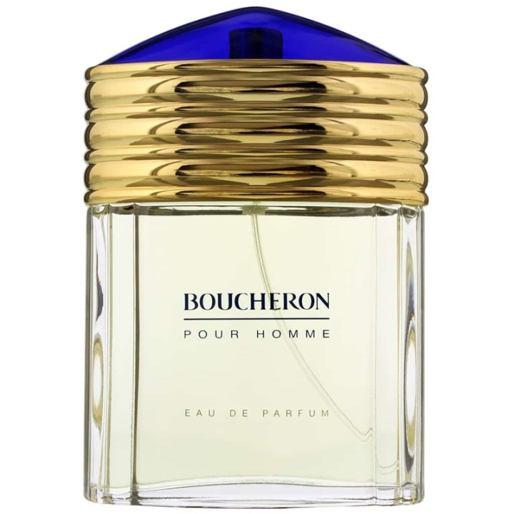 Boucheron Pour Homme Edp 100ml in the group BEAUTY & HEALTH / Fragrance & Perfume / Perfumes / Perfume for him at TP E-commerce Nordic AB (A10513)