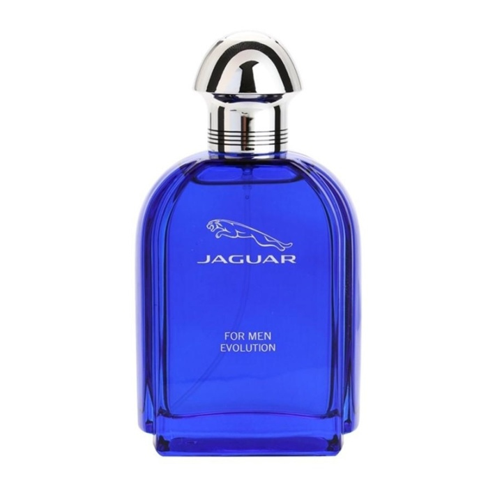 Jaguar For Men Evolution Edt 100ml in the group BEAUTY & HEALTH / Fragrance & Perfume / Perfumes / Perfume for him at TP E-commerce Nordic AB (A11083)