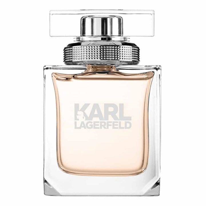 Karl Lagerfeld Pour Femme Edp 45ml in the group BEAUTY & HEALTH / Fragrance & Perfume / Perfumes / Perfume for her at TP E-commerce Nordic AB (A11134)