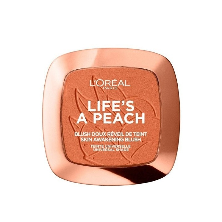 Loreal True Match Powder 1D/1W Golden Ivory in the group BEAUTY & HEALTH / Makeup / Facial makeup / Rouge / Bronzer at TP E-commerce Nordic AB (A11688)