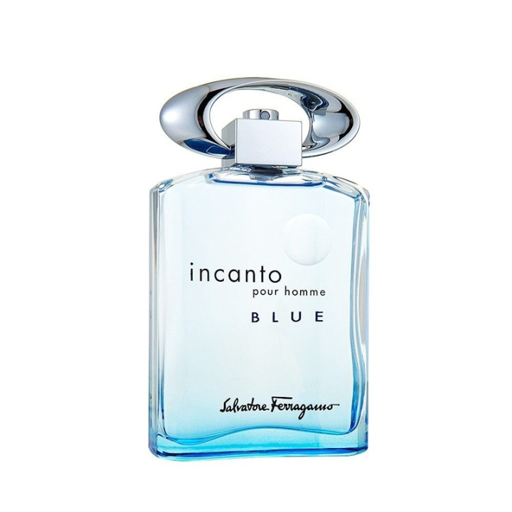 Salvatore Ferragamo Incanto Pour Homme Blue Edt 100ml in the group BEAUTY & HEALTH / Fragrance & Perfume / Perfumes / Perfume for him at TP E-commerce Nordic AB (A12946)