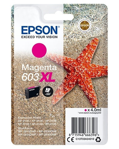 Epson Singlepack Magenta 603XL Ink in the group COMPUTERS & PERIPHERALS / Printers & Accessories / Ink & Toner / Ink cartridges / Epson at TP E-commerce Nordic AB (A14126)