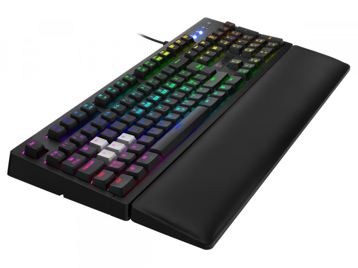 Svive Orcus Optisk RGB Gaming Tangentbord in the group COMPUTERS & PERIPHERALS / GAMING / Keyboards at TP E-commerce Nordic AB (A23085)