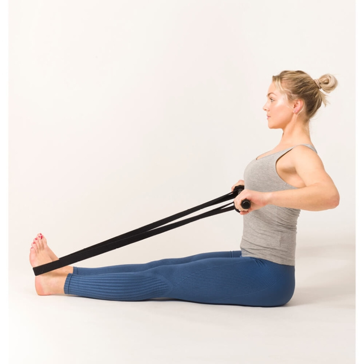SWEDISH POSTURE Mini Gym Full home workout set in the group Sport, leisure & Hobby / Exercise equipment / Exercise accessories at TP E-commerce Nordic AB (C00518)