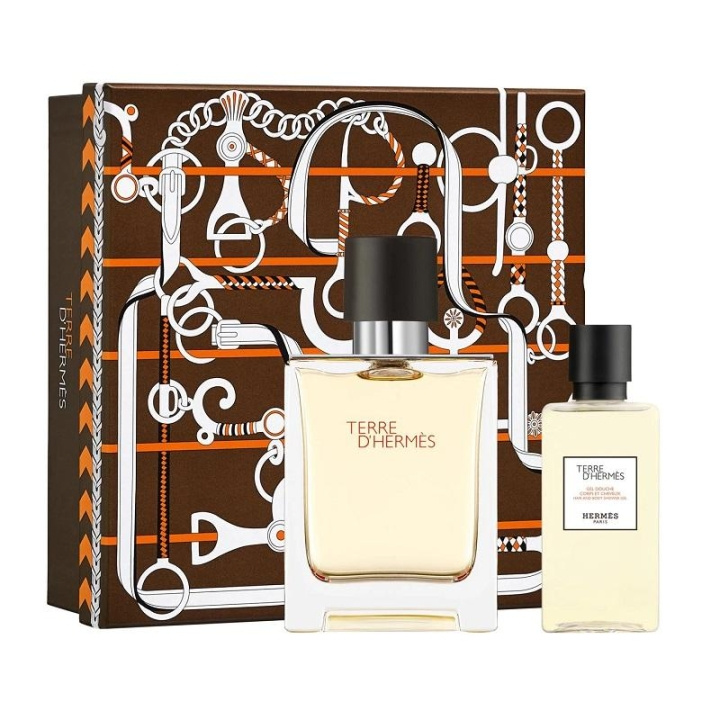Giftset Hermes Terre d\'Hermes Edt 100ml + Shower Gel 80ml in the group BEAUTY & HEALTH / Fragrance & Perfume / Perfumes / Perfume for him at TP E-commerce Nordic AB (C03391)