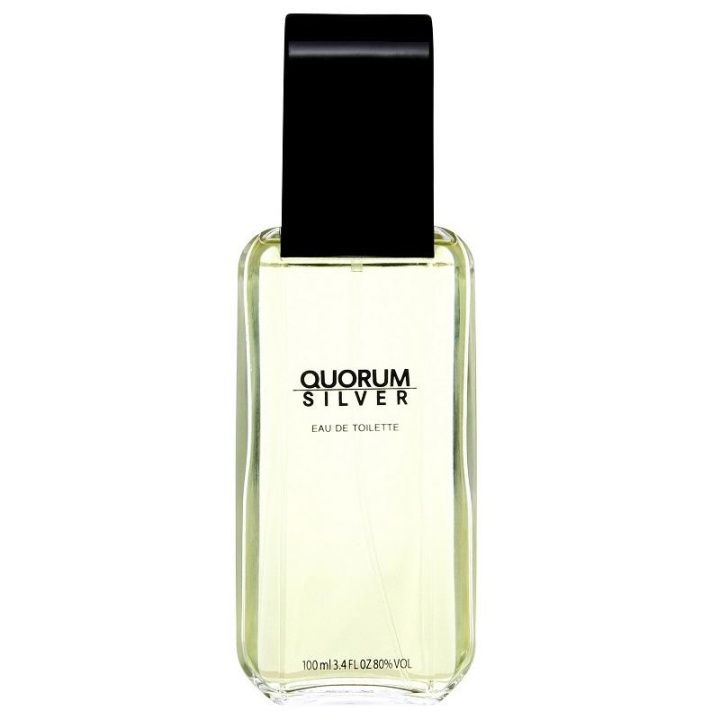 Antonio Puig Quorum Silver Edt 100ml in the group BEAUTY & HEALTH / Fragrance & Perfume / Perfumes / Perfume for him at TP E-commerce Nordic AB (C03835)