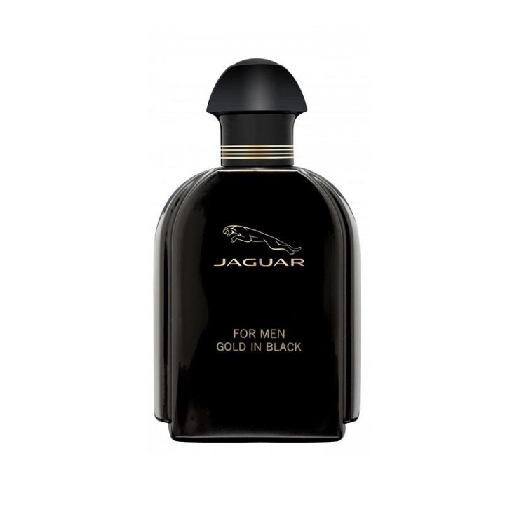 Jaguar for Men Gold In Black Edt 100ml in the group BEAUTY & HEALTH / Fragrance & Perfume / Perfumes / Perfume for him at TP E-commerce Nordic AB (C05066)