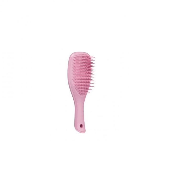 Tangle Teezer Wet Detangle Mini Glitter Pink in the group BEAUTY & HEALTH / Hair & Styling / Hair brushes at TP E-commerce Nordic AB (C05539)