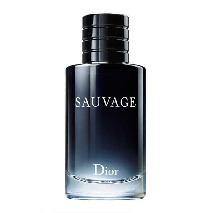 Dior Sauvage Parfym 100ml in the group BEAUTY & HEALTH / Fragrance & Perfume / Perfumes / Perfume for him at TP E-commerce Nordic AB (C05922)