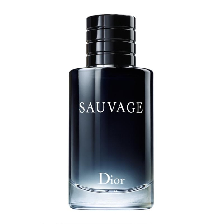 Dior Sauvage Parfum 60ml in the group BEAUTY & HEALTH / Fragrance & Perfume / Perfumes / Perfume for him at TP E-commerce Nordic AB (C05923)