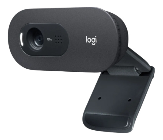 Logitech - C505e HD Webcam, brownbox in the group COMPUTERS & PERIPHERALS / Computer accessories / Web cameras at TP E-commerce Nordic AB (C09101)