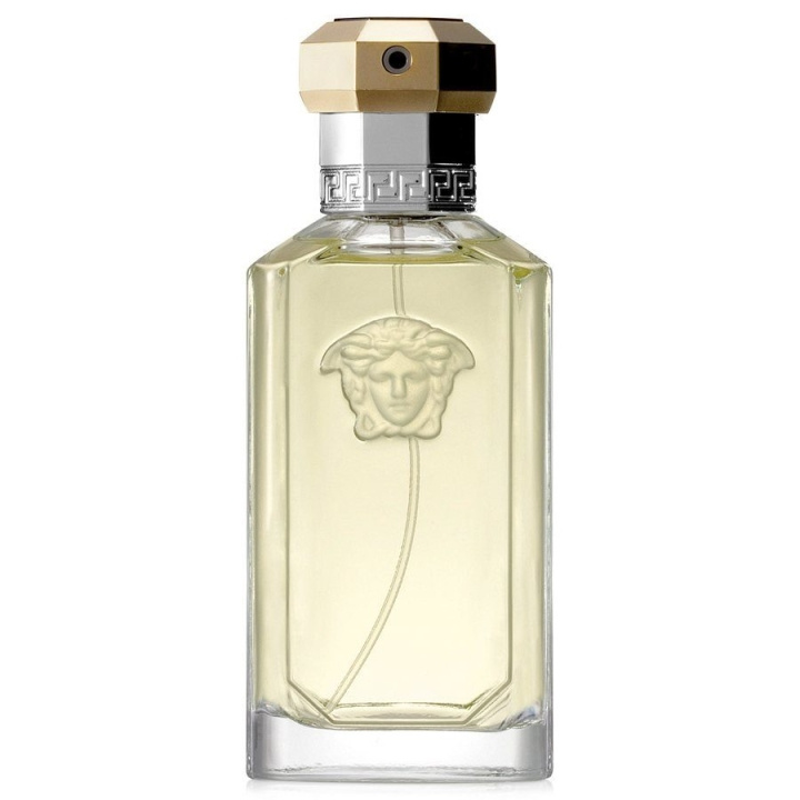 Versace The Dreamer Edt 100ml in the group BEAUTY & HEALTH / Fragrance & Perfume / Perfumes / Perfume for him at TP E-commerce Nordic AB (C10705)