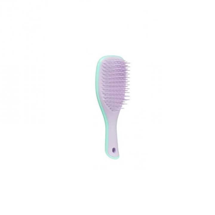Tangle Teezer Wet Detangle Mini Mint/Purple in the group BEAUTY & HEALTH / Hair & Styling / Hair brushes at TP E-commerce Nordic AB (C11352)