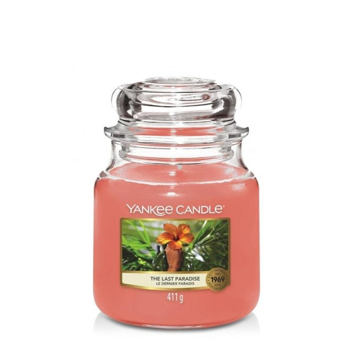 Yankee Candle Classic Medium Jar The Last Paradise 411g in the group BEAUTY & HEALTH / Fragrance & Perfume / Other fragrances / Scented candles at TP E-commerce Nordic AB (C13306)