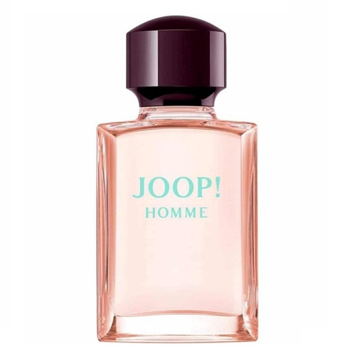 Joop! Homme Mild Deodorant Natural Spray 75ml in the group BEAUTY & HEALTH / Fragrance & Perfume / Perfumes / Perfume for him at TP E-commerce Nordic AB (C13470)