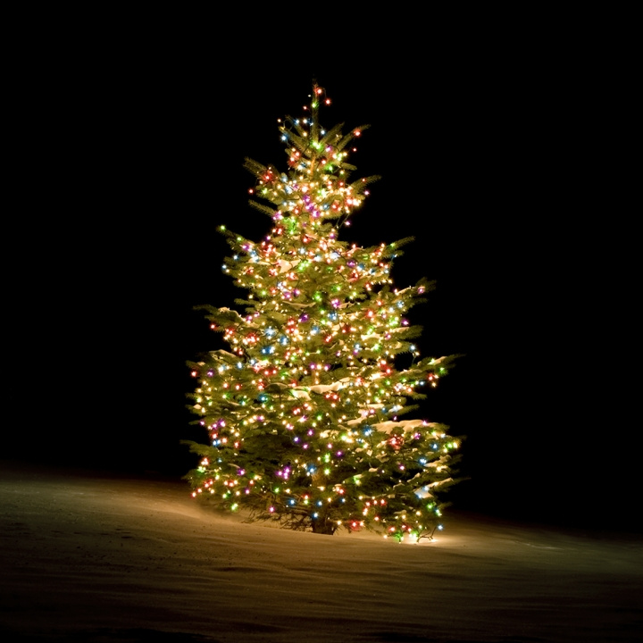 Deltaco Smart home WiFi Tree light,270L,10 strings,RGB,adapter in the group HOME ELECTRONICS / Lighting / Christmas lights at TP E-commerce Nordic AB (C13839)