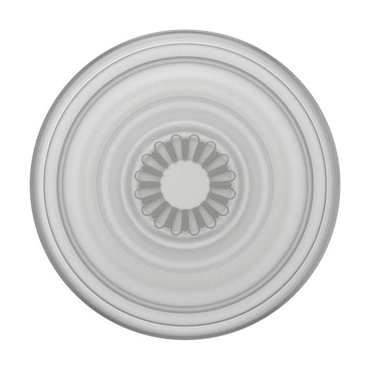 PopSockets PopGrip Plant Faded Stone in the group SMARTPHONE & TABLETS / Other accessories / Popsockets at TP E-commerce Nordic AB (C17054)
