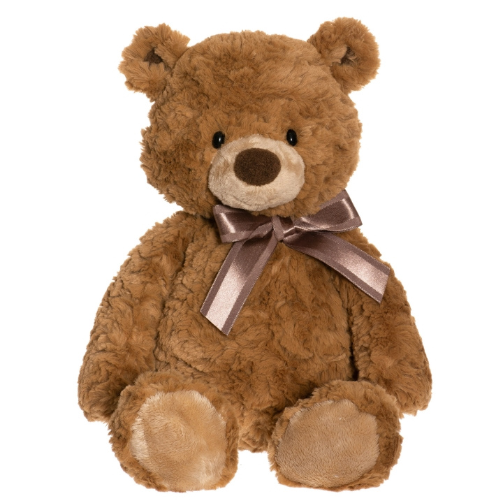 Teddykompaniet Teddy Nalle i giftbox in the group TOYS, KIDS & BABY PRODUCTS / Baby toys / stuffed animals at TP E-commerce Nordic AB (C18410)