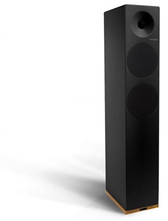 Tangent Högtalare Spectrum X6, Svart in the group HOME ELECTRONICS / Audio & Picture / Speakers & accessories / Bluetooth Speakers / Floor-standing sprakers bluetooth at TP E-commerce Nordic AB (C20759)