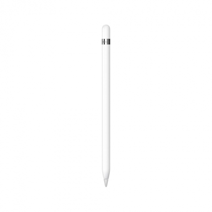 Apple Pencil (1st Generation) in the group SMARTPHONE & TABLETS / Other accessories / Other at TP E-commerce Nordic AB (C21294)