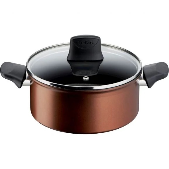 Tefal Kokkärl Resource Stewpot 20 cm + Lid G2534453 Tefal in the group HOME, HOUSEHOLD & GARDEN / Kitchen utensils / Pots & Pans at TP E-commerce Nordic AB (C21976)