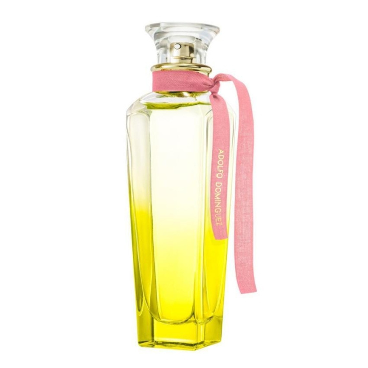 Adolfo Dominguez Agua Fresca Mimosa Coriandro Edt 120ml in the group BEAUTY & HEALTH / Fragrance & Perfume / Perfumes / Perfume for her at TP E-commerce Nordic AB (C22924)