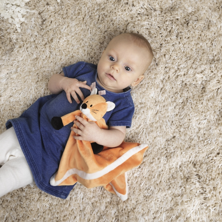 Teddykompaniet Diinglisar Räv Snuttefilt in the group TOYS, KIDS & BABY PRODUCTS / Baby toys / stuffed animals at TP E-commerce Nordic AB (C23284)