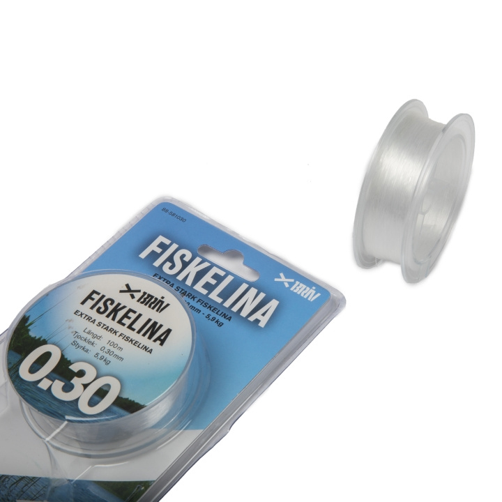 Fiskelina 2x100 m 0,30 mm 5,9 kg, 1/100 in the group Sport, leisure & Hobby / Outdoor recreation / Fishing equipment at TP E-commerce Nordic AB (C24157)