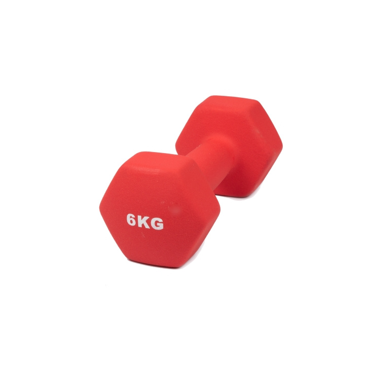 Hantel Neopren 6 kg in the group Sport, leisure & Hobby / Exercise equipment / Exercise accessories at TP E-commerce Nordic AB (C24697)