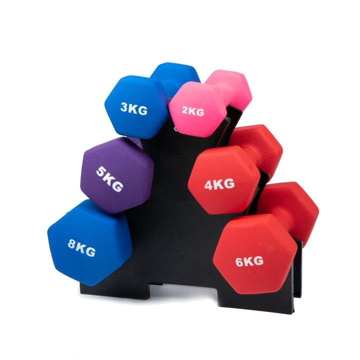 Rack för dumbbells in the group Sport, leisure & Hobby / Exercise equipment / Exercise accessories at TP E-commerce Nordic AB (C24744)