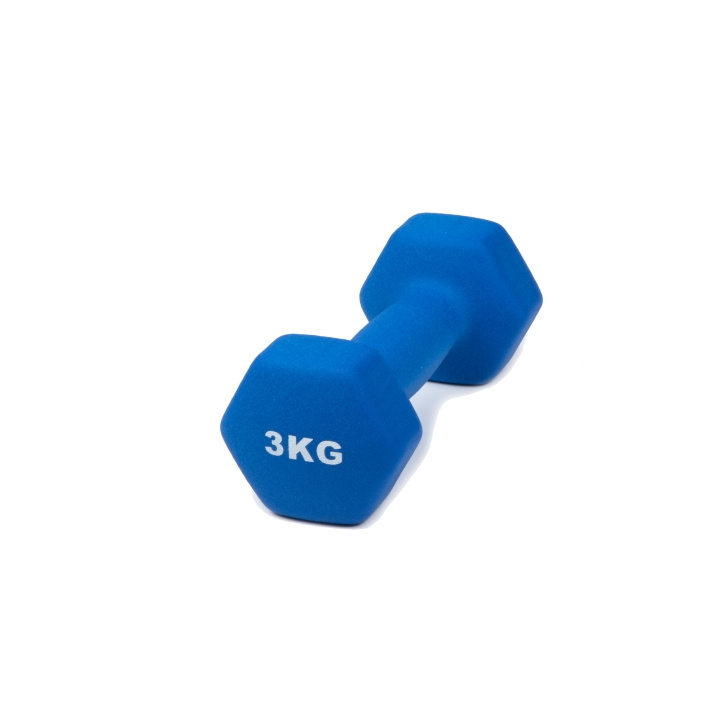 Hantel Neopren 3 kg in the group Sport, leisure & Hobby / Exercise equipment / Exercise accessories at TP E-commerce Nordic AB (C24763)
