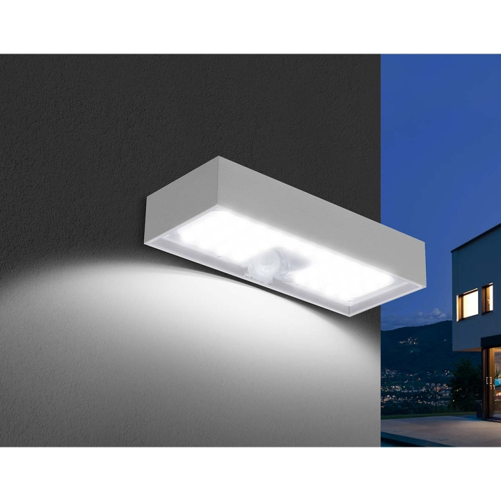 Century Solar Wall Light Domino 6 W 800 lm 3000 K in the group HOME, HOUSEHOLD & GARDEN / Electricity & Lighting / Outdoor lighting / Solar lamp at TP E-commerce Nordic AB (C25704)