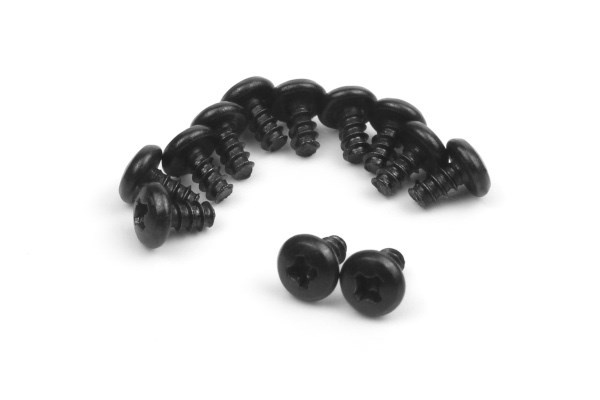 BLACKZON Pan Head Self Tapping Screws 2x4mm in the group TOYS, KIDS & BABY PRODUCTS / Radio controlled / Spare parts & Extra accessories / Blackzon at TP E-commerce Nordic AB (C30828)