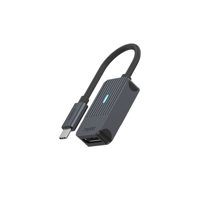 Rapoo Adapter USB-C UCA-1005 USB-C to DisplayPort in the group COMPUTERS & PERIPHERALS / Computer cables / DisplayPort / Adapters at TP E-commerce Nordic AB (C32270)