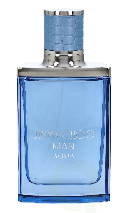 Jimmy Choo Aqua Men Edt Spray 50 ml in the group BEAUTY & HEALTH / Fragrance & Perfume / Perfumes / Perfume for him at TP E-commerce Nordic AB (C34019)