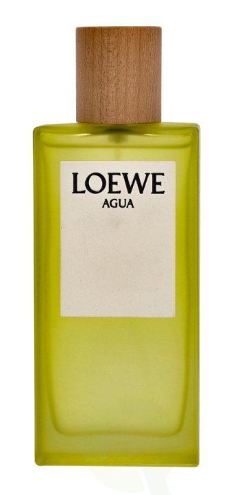 Loewe Agua Edt Spray 100 ml in the group BEAUTY & HEALTH / Fragrance & Perfume / Perfumes / Perfume for her at TP E-commerce Nordic AB (C34076)