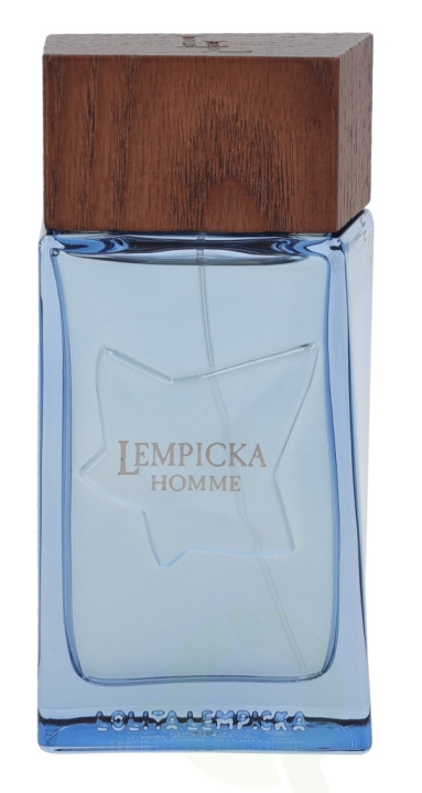 Lolita Lempicka Homme Edt Spray 100 ml in the group BEAUTY & HEALTH / Fragrance & Perfume / Perfumes / Perfume for him at TP E-commerce Nordic AB (C34233)