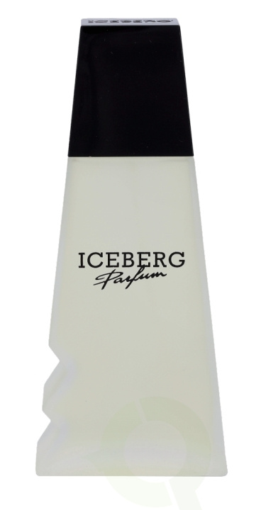 Iceberg Femme Edt Spray 100 ml in the group BEAUTY & HEALTH / Fragrance & Perfume / Perfumes / Perfume for her at TP E-commerce Nordic AB (C34234)