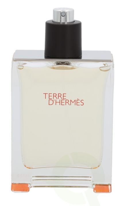 Hermes Terre D\'Hermes Edt Spray 100 ml in the group BEAUTY & HEALTH / Fragrance & Perfume / Perfumes / Perfume for him at TP E-commerce Nordic AB (C34507)