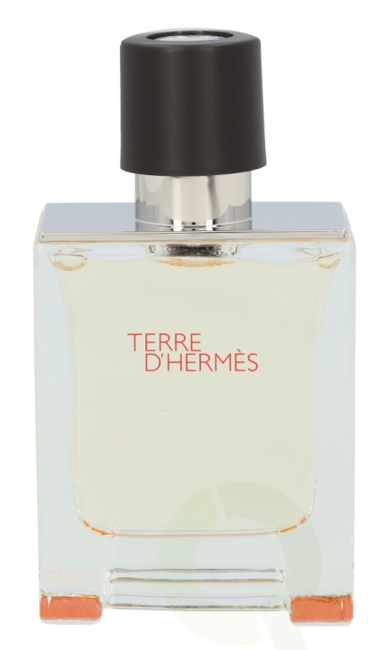 Hermes Terre D\'Hermes Edt Spray 50 ml in the group BEAUTY & HEALTH / Fragrance & Perfume / Perfumes / Perfume for him at TP E-commerce Nordic AB (C34508)