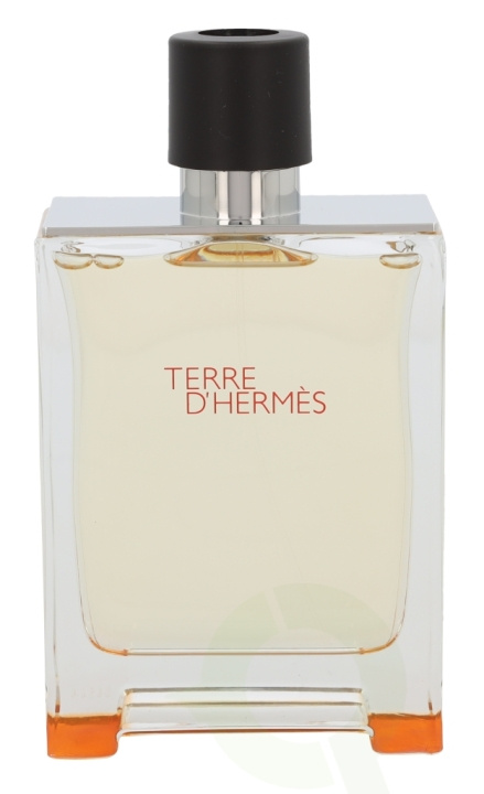 Hermes Terre D\'Hermes Edt Spray 200 ml in the group BEAUTY & HEALTH / Fragrance & Perfume / Perfumes / Perfume for him at TP E-commerce Nordic AB (C34509)