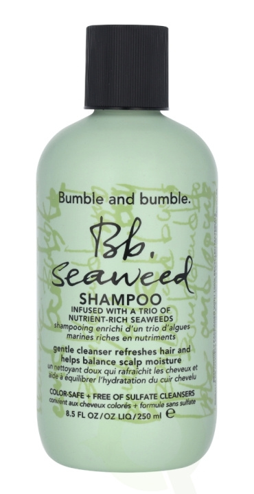 Bumble and Bumble Bumble & Bumble Seaweed Shampoo 250 ml in the group BEAUTY & HEALTH / Hair & Styling / Hair care / Schampoo at TP E-commerce Nordic AB (C38225)