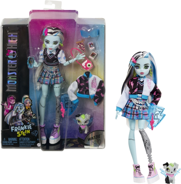 Monster High Core Frankie -muotinukke in the group TOYS, KIDS & BABY PRODUCTS / Toys / Docks & Accessories at TP E-commerce Nordic AB (C40934)