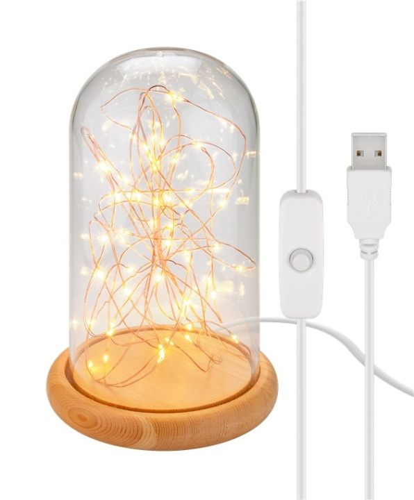 Goobay Glaskupa med mikro LED mikro-ljusslinga med träplatta, 115 cm USB-kabel, 5 m ljuskedja med 50 mikro-LED i varmvitt (2700 K) och strömbrytare (On/Off) in the group HOME ELECTRONICS / Lighting / Table lamps at TP E-commerce Nordic AB (C44094)