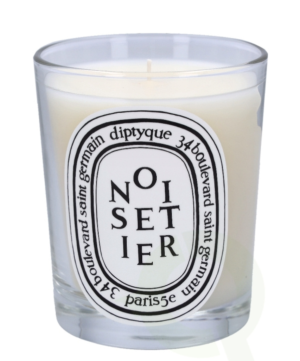Diptyque Noisetier Scented Candle 190 gr in the group BEAUTY & HEALTH / Fragrance & Perfume / Other fragrances / Scented candles at TP E-commerce Nordic AB (C44865)