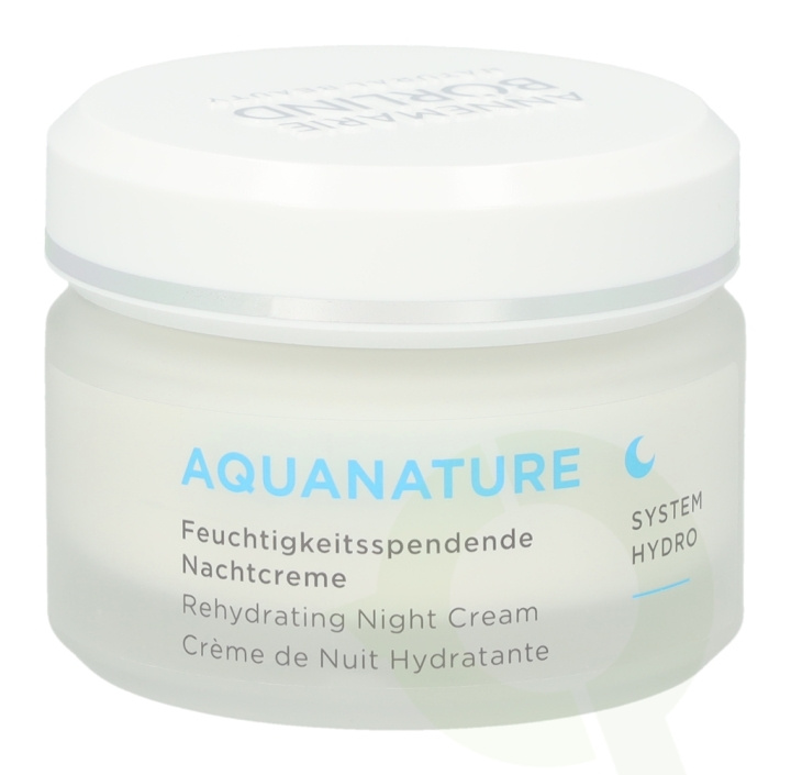 Annemarie Borlind Aquanature Rehydrating Night Cream 50 ml in the group BEAUTY & HEALTH / Skin care / Face / Night cream at TP E-commerce Nordic AB (C45782)